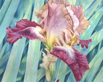 Aquarel schilderij | Baardiris | Origineel schilderij | 9 x 17 inch | Paarse en lila irisbloemen en bladeren | Botanische kunst.