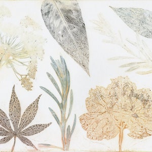 Original monoprint | Botanical fine art print | Print making | Garden leaves and flowers | One of a kind | Monotype print