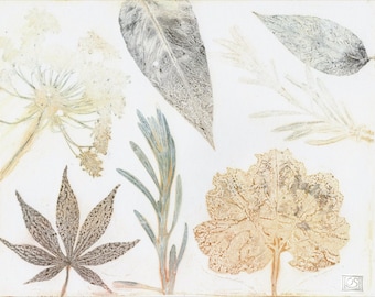 Original monoprint | Botanical fine art print | Print making | Garden leaves and flowers | One of a kind | Monotype print