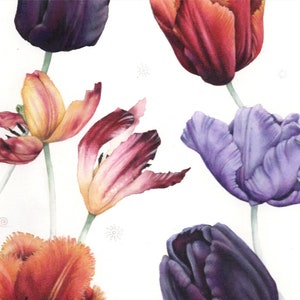 May include: Watercolor painting of colorful tulips in shades of purple, red, orange, and yellow against a white background. The flowers are in various stages of bloom, with detailed petals and green stems. The artwork captures the beauty of spring.