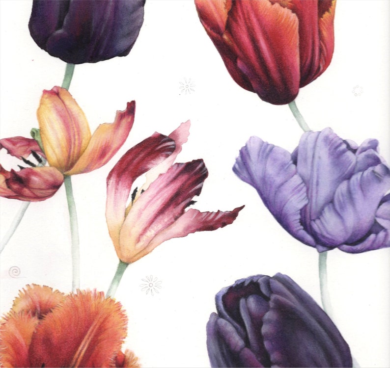 May include: Watercolor painting of colorful tulips in shades of purple, red, orange, and yellow against a white background. The flowers are in various stages of bloom, with detailed petals and green stems. The artwork captures the beauty of spring.