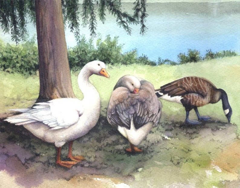 Roath Park Lake Archival print Watercolour painting of Geese Welsh watercolor Cardiff scene Geese, water, willows By Helen Lush image 3