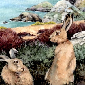 Hares in Gorse painting Pwll Deri Pembrokeshire Wales Welsh coast watercolour by Helen Lush Original watercolor landscape 9 x 9 image 4