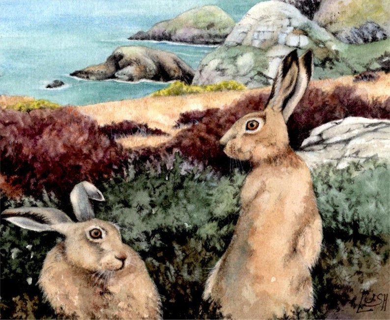 Hares in Gorse painting Pwll Deri Pembrokeshire Wales Welsh coast watercolour by Helen Lush Original watercolor landscape 9 x 9 image 4