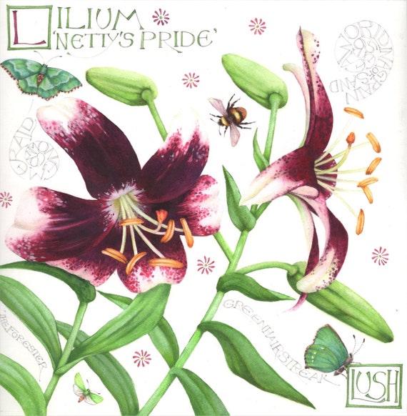 Lily Painting Botanical Watercolour Calligraphy 9 Etsy etsy