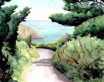 The Lane to Cwm yr Eglwys | Original painting | Pembrokeshire coast path, West Wales | Wildflower watercolour by Helen Lush | 6.5" x 6.5"