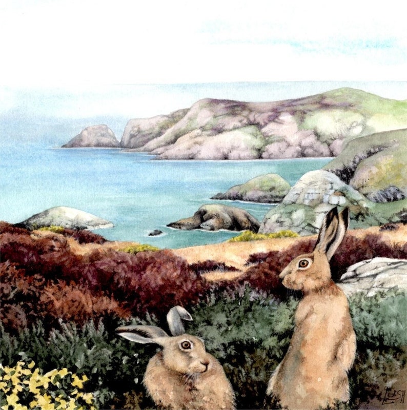 Hares in Gorse painting Pwll Deri Pembrokeshire Wales Welsh coast watercolour by Helen Lush Original watercolor landscape 9 x 9 image 1