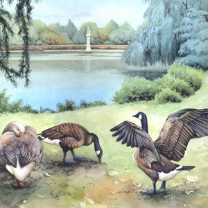 Roath Park Lake Archival print Watercolour painting of Geese Welsh watercolor Cardiff scene Geese, water, willows By Helen Lush image 2