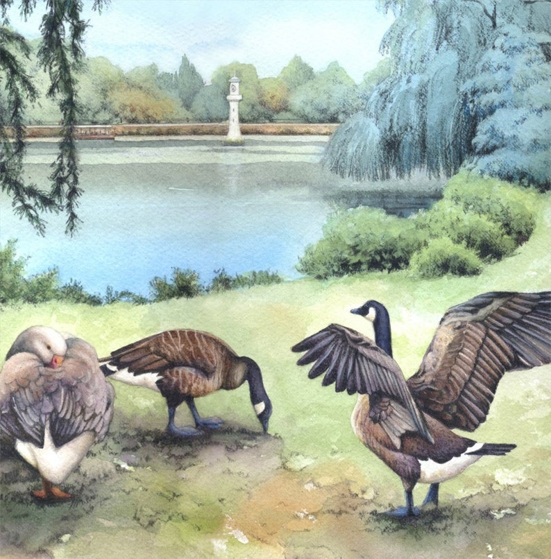 Roath Park Lake Archival print Watercolour painting of Geese Welsh watercolor Cardiff scene Geese, water, willows By Helen Lush image 2