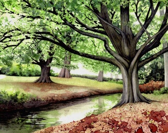 Hornbeam Tree painting | Roath Park watercolour | Original painting | 8.5" x 11" | Welsh landscape | Cardiff art | Tree watercolor | Wales