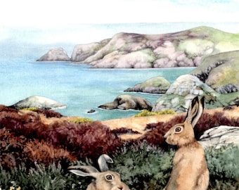 Two Brown Hares, Pwll Deri, Pembrokeshire | Archival Print | 7" x 7" | Welsh coastal landscape | From an original watercolour by Helen Lush