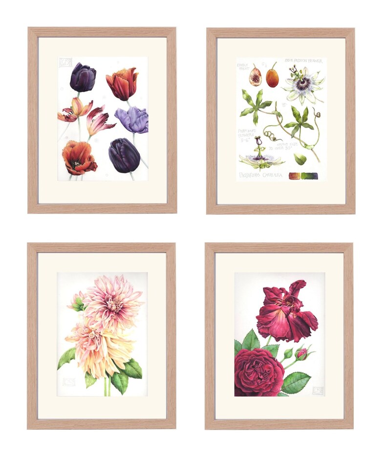 May include: Four framed botanical art prints. The prints feature watercolor illustrations of flowers, including tulips, passionflower, dahlias, and roses. Each print is in a light wood frame with a white mat.