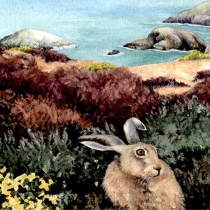 Hares in Gorse painting Pwll Deri Pembrokeshire Wales Welsh coast watercolour by Helen Lush Original watercolor landscape 9 x 9 image 3