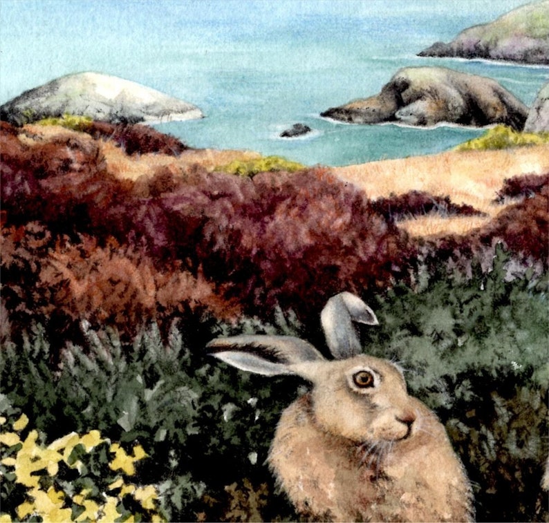 Hares in Gorse painting Pwll Deri Pembrokeshire Wales Welsh coast watercolour by Helen Lush Original watercolor landscape 9 x 9 image 3