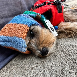 Doggo Hood
