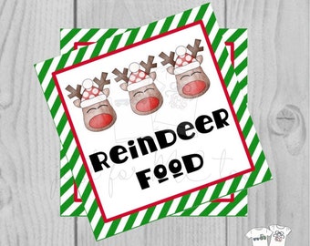 Reindeer Food Printable Tags, Instant Download, Christmas Tags, Square Gift Tags, Classroom Treat, Reindeer Tag, Gift Tag, Reindeer Food