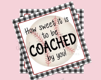 Printable Tags, Instant Download, Baseball Tags, T-Ball Tags, Square Gift Tags, Coach Tag, Baseball Coach, Banquet Tag