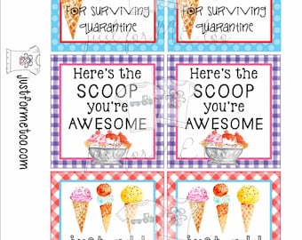 Instant Download Printable Ice Cream Bundle, Printable Tag, Instant Download, Gift tags, Ice Cream