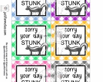 Printable Skunk Tags,Sorry Your Day Stunk,Multi-Color  Instant Download, Tags, Teacher Tags, Lunchbox Note, Pick me Up Tag, Friendship