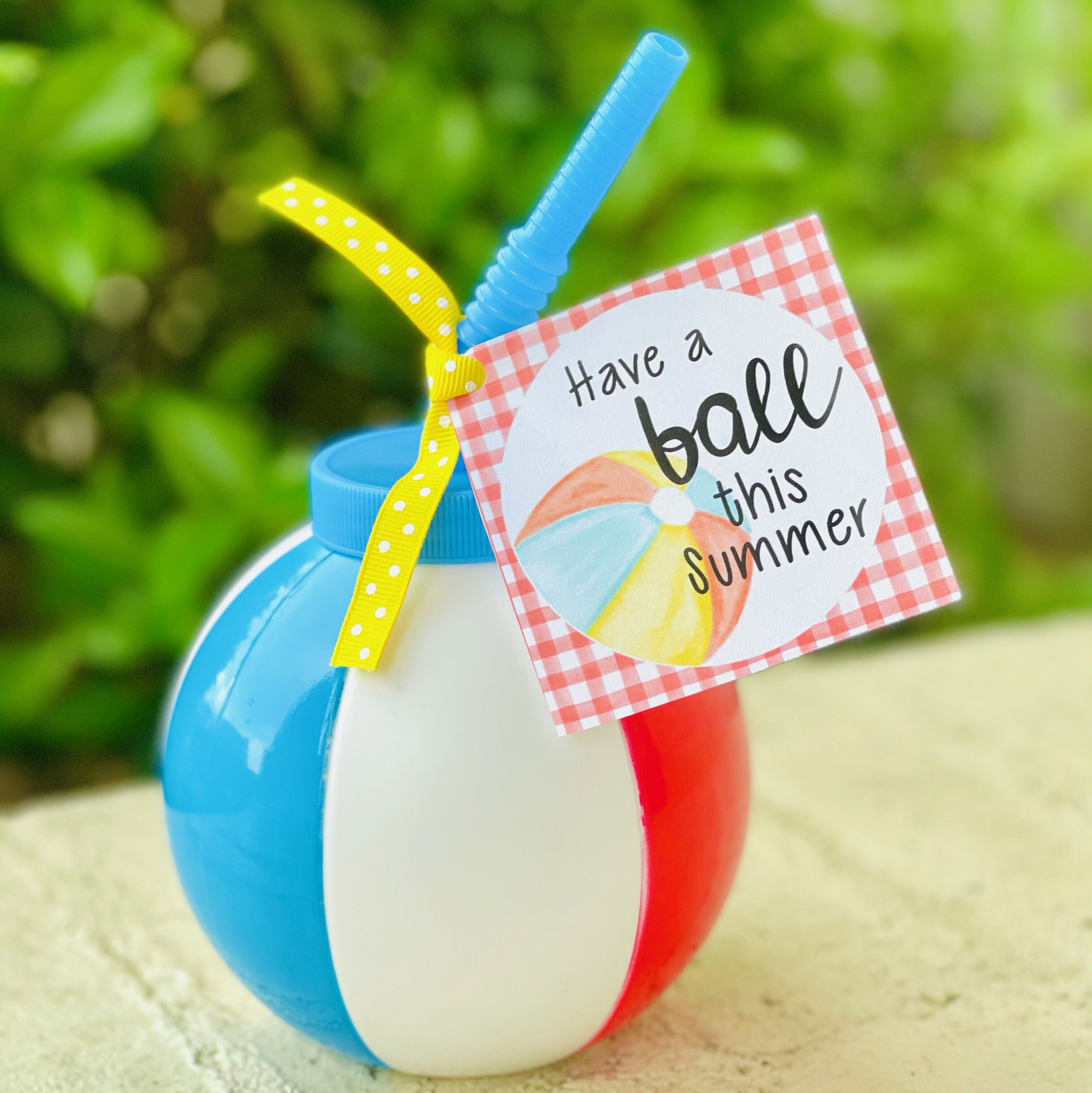 instant-download-printable-beach-ball-tag-summer-party-tag-summer