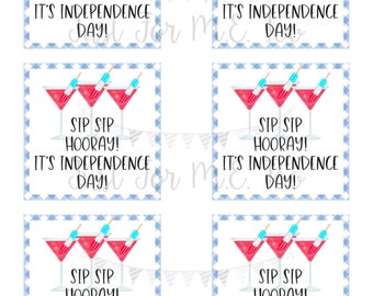 Instant Download Printable 4th of July Tag, American Flag Tag, July 4th, July Tag, Friend, Gift, Party Favor, Sip Sip Hooray, Popsicle