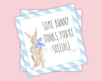 Easter Bunny Printable Tags, Instant Download, Easter Tags, Square Gift Tags, Teacher Tag, Some Bunny Thinks You're Special, Treats