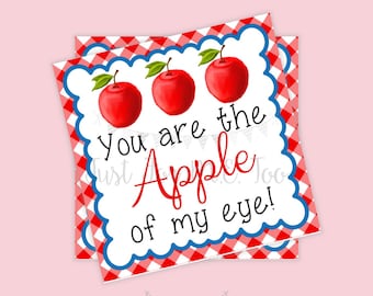 Valentine Printable Tags, Apple of my eye, Instant Download, Apple Tags, Valentine Tag, Lunchbox Note, Student Tag, Gingham, Class Tag