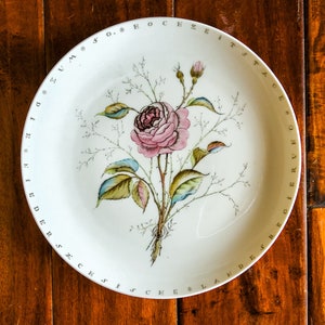Lovely Furstenberg West Germany Dinner Plate Pink Floral German Letters Around Rim