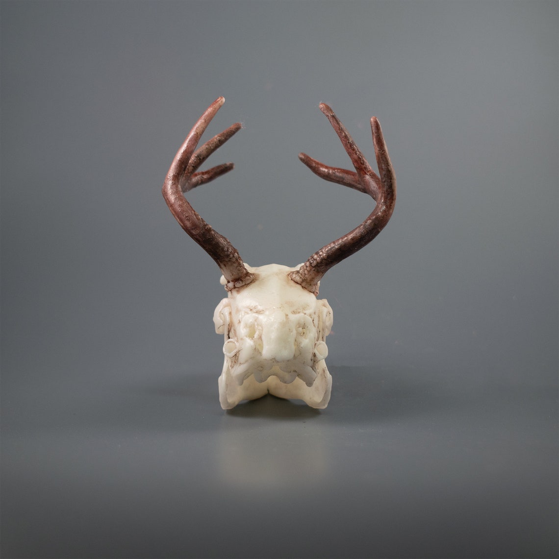 Jackalope Skull | Etsy