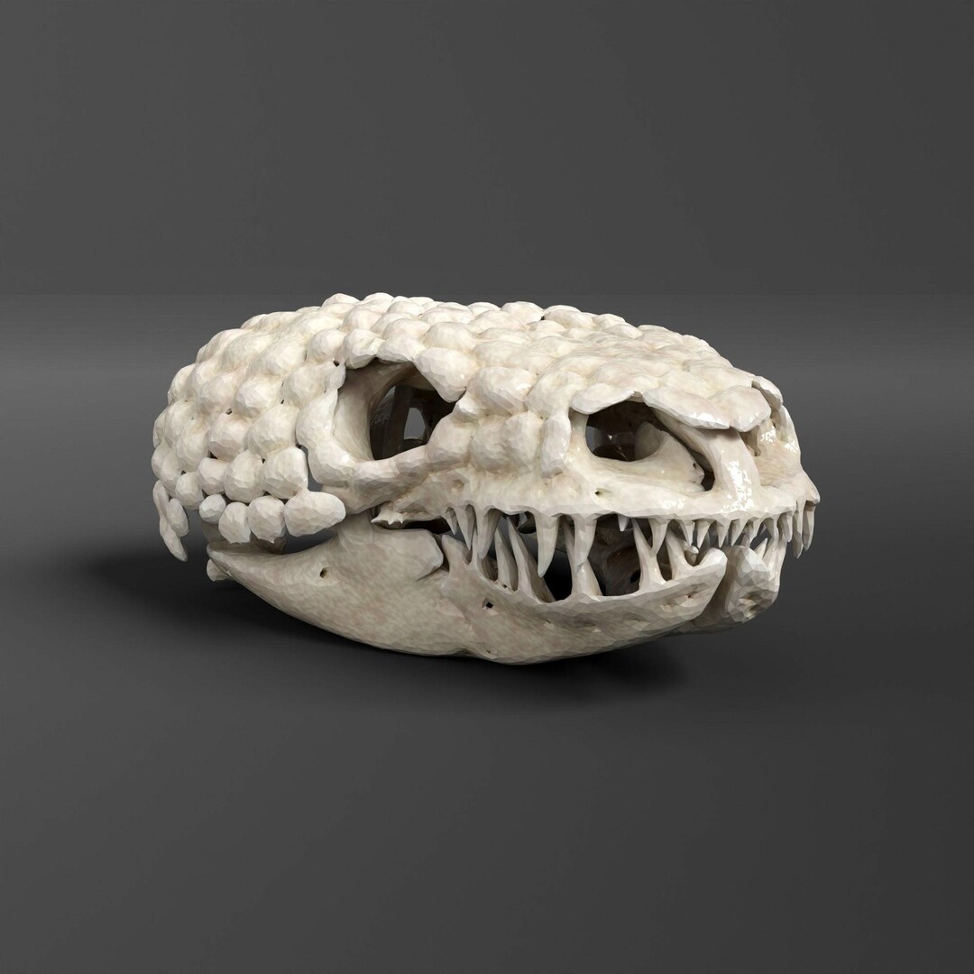 VALIEM 陶器鉢　MONSTER MOUSE ACT2 SKULL Gila Monster Skull Pendant by Fire & Bone