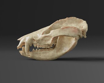 il_340x270.4672776775_b1yv.jpg