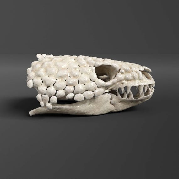 VALIEM 陶器鉢　MONSTER MOUSE ACT2 SKULL VALIEM 陶器鉢 MONSTER MOUSE ACT2 SKULL VALIEM 陶器鉢 MONSTER MOUSE