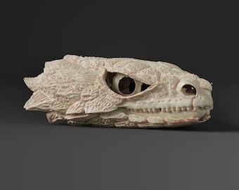 アリゲーターガーの頭蓋骨レプリカ（博物館品質） - Etsy 日本