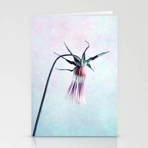 Foto Kunst Karte Claudia Drossert