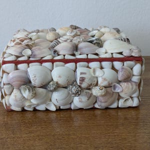May include: A rectangular box completely covered in a variety of natural seashells. The exterior features an assortment of white, cream, and light brown bivalve shells and small spiral shells arranged in a dense, overlapping mosaic pattern.