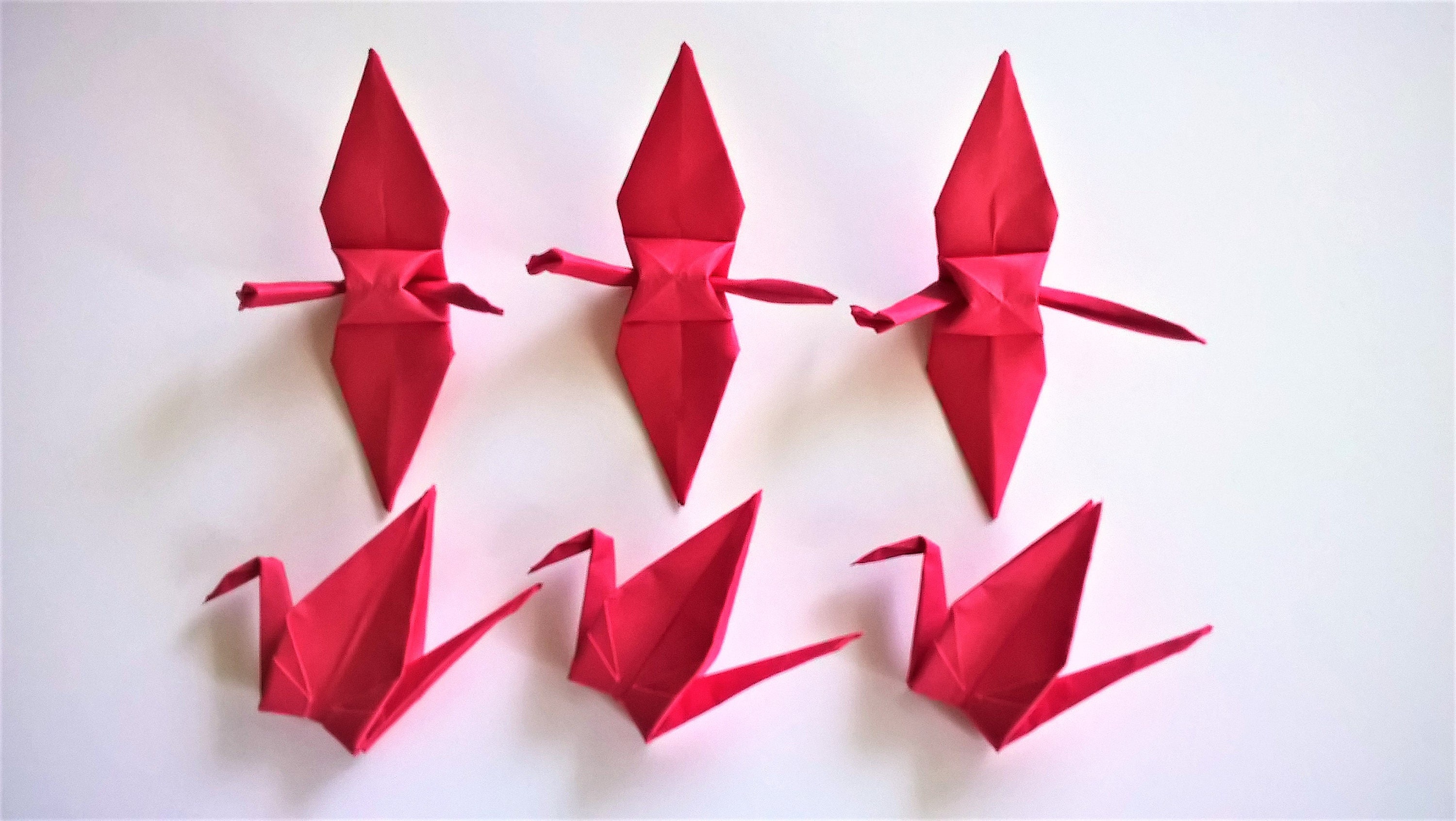 Red Origami Paper Cranes (50 count) – Graceincrease Custom Origami Art