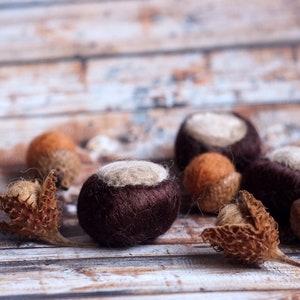 Autumnal decoration set - needle felted - 3 chestnuts, 5 acorns, 3 beech nuts