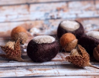 Autumnal decoration set - needle felted - 3 chestnuts, 5 acorns, 3 beechnuts