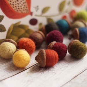Felt acorn set in beautiful autumn colors