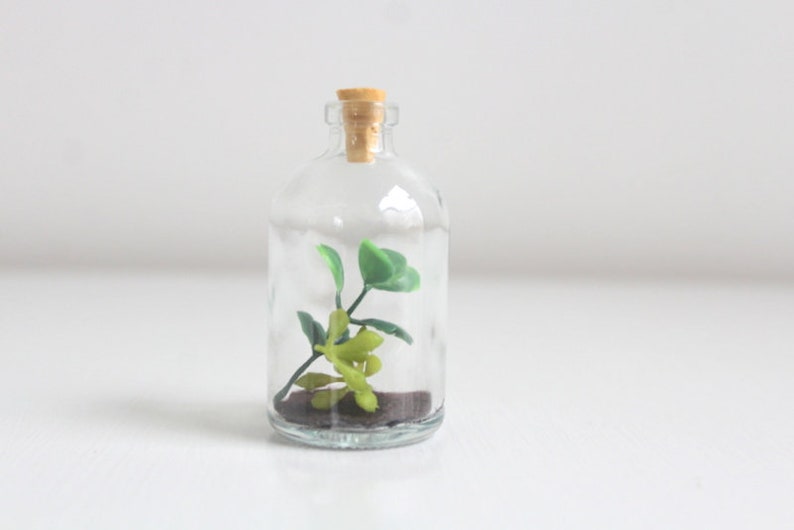 Faux Terrarium Garden in a Bottle Succulent Succulent Terrarium Miniature Garden Small Terrarium Bottle Terrarium Miniature Terrarium