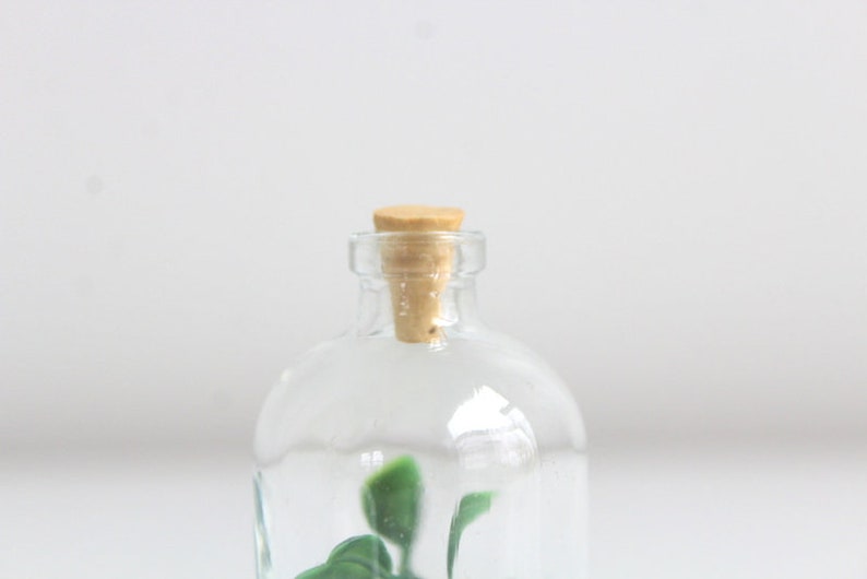 Faux Terrarium Garden in a Bottle Succulent Succulent Terrarium Miniature Garden Small Terrarium Bottle Terrarium Miniature Terrarium