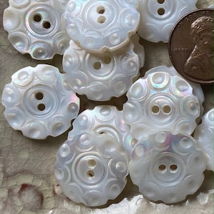 5 Vintage 1950&#39;s Scalloped and Carved Flower Shell Buttons 19mm