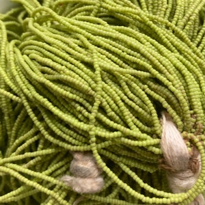 Green/Yellow 29 bpi - Vintage Venetian Glass Seed Beads