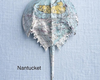 Mini Horseshoe Crab Art, Cape Cod Nautical Chart Decor, Coastal Gift, Beach Cottage Wall Art, Handmade Mini Art