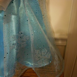 May include: A light blue dress with a sheer overlay and snowflake designs. The dress has a sparkly finish.