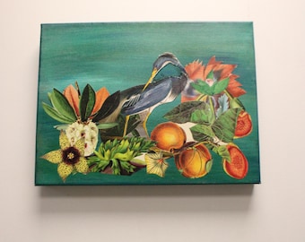 Collage Art "FRUITY MALLARD"