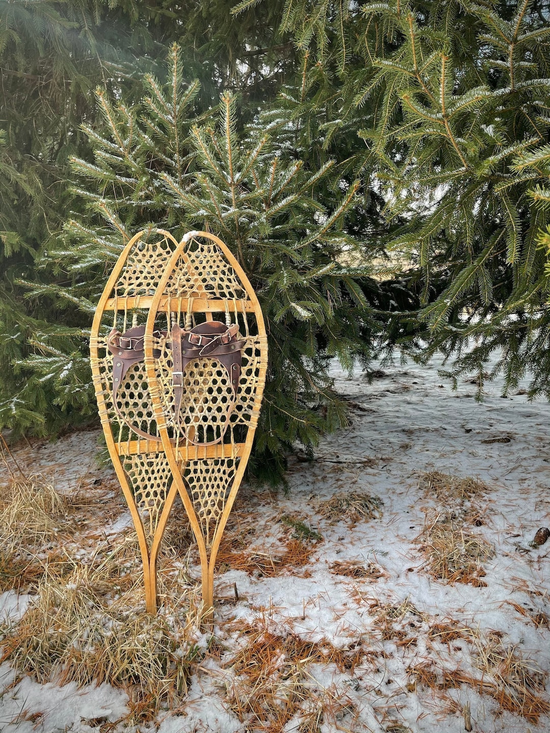 Wooden Snowshoes Gut Hexegon Decking Canada Made Cabin Teepee Decor