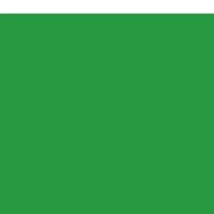 Solid green fabric by the yard, evergreen fabric, green cotton fabric, solid green cotton fabric, #20550