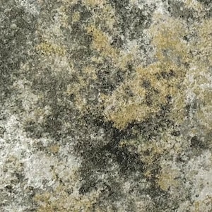 Tan and gray stone fabric by the yard, tan fabric, tan stone fabric, tan cotton, tan fabric basics, gray fabric, gray cotton, #23430