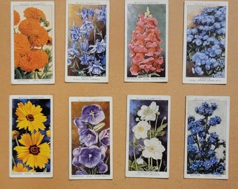 1930's Wills Garden Flowers Cigarette Cards Set of 8